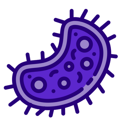 Bacteria thriving on a damp toothbrush.